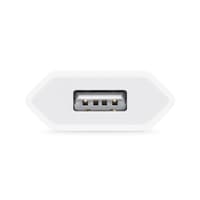 Apple MD813 - Adaptateur Secteur USB - 5W - Blanc (En Vrac)